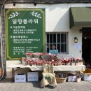 일향플라워