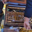 죽산식당 이미지