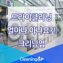 대한크리닝세탁소