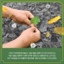 갑부푸드