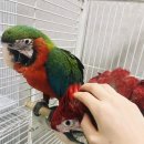 가든조류원 이미지