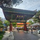 동산정형외과 의원 앞 | 2026년 약령시 한방문화 축제 (약령 대첩) 힐링 나들이
