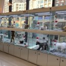 토이켄넬(Toy kennel) 이미지