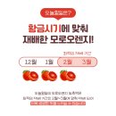 오렌지빠 이미지