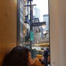 터미널타워빌딩 이미지