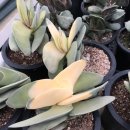 혜미농장 이미지