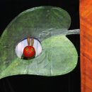 영어 스토리텔링 이미지