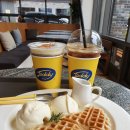 카페테디(CAFE Teddy) 이미지
