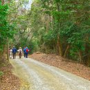 당사도민박 이미지