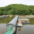 덕성낚시터 이미지