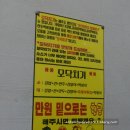 제주 서귀포 매일올레시장 먹거리 맛집 투어
