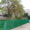 인천문학초등학교 이미지