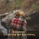 르솔트