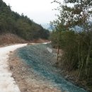 시드(주)