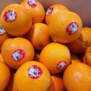 오렌지마켓 이미지