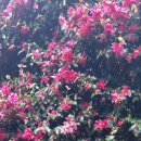 남원읍-25 이미지