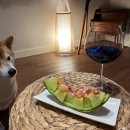 수수가옥 | 곡성 애견 동반 감성 숙소 추천 - 수수가옥 후기