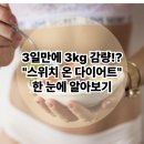 3주 만에 체지방만 빼는 스위치 온 다이어트 원리 및 식단표 예시[대구pt / 구암동 헬스 / 대구북구헬스