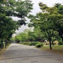 까치공원 바닥분수 이미지