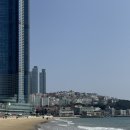 신관공원 이동식화장실(주차장) | 12개월 아기랑 파라다이스 호텔 부산 2박 3일 후기 (신관 파셜오션뷰 온돌룸)