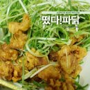 떴다파닭 이미지