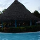 코히마르 이미지