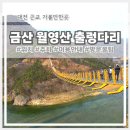 여기;여유가기다리는곳 | 대전근교가볼만한곳 금산 월영산 출렁다리 갈만한가? 계단 난이도 주차