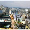 초록잎새 이미지