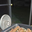 대곡리끄티집 이미지