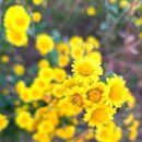 주촌면 무지개공원 이미지