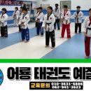 어룡태권도 이미지