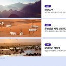 두바이룸 이미지