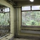 비엔날레병원 이미지