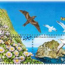 독도노래연습장 이미지