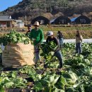 한국농촌 노동조합 이미지