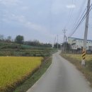 용정2리마을회관 이미지