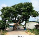 광탄면 삼거리 이미지