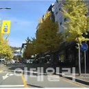 에이치모터스 주식회사 이미지