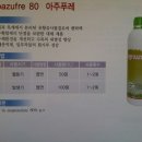 썬바이오텍 이미지