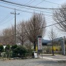 창녕 부곡 맛집 육회달인:색다른 한우육회 내돈내산 후기