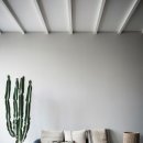 안토니오록산 이미지