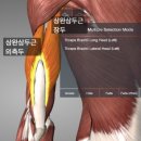 리메디얼 휘트니스 전남대점 이미지