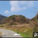 섬강농원 이미지