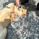 카페인하원 이미지