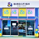 미디어피쉬 이미지