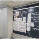 차민 이미지