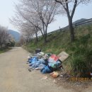 대숲여행 이미지