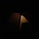 동학사1·2로 이미지