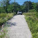 새말목장 이미지