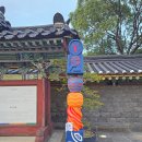 제주 도련동 귤나무류 | 제주 국가유산 스탬프 투어 시즌4, 탐라순력도 속 귤 이야기를 따라 움직여봐요!